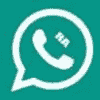 1710739327_RAWhatsApp.png