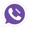 1710739700_YxWhatsApp.png
